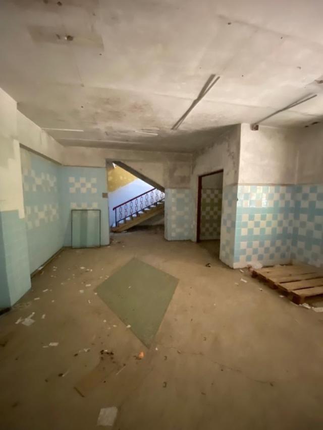 Лот 4018269